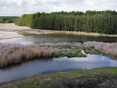 Parduodamas namų valdos sklypas Ignalinos - nuotraukos Nr. 3