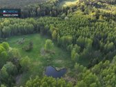 Parduodamas 4,53 ha žemės ūkio paskirties - nuotraukos Nr. 8