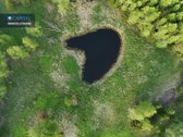 Parduodamas 4,53 ha žemės ūkio paskirties - nuotraukos Nr. 12