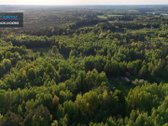 Parduodamas 4,53 ha žemės ūkio paskirties - nuotraukos Nr. 16