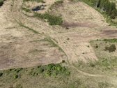 Išskirtinis 4,7 Ha Sklypas Klaipėdos Raj. - nuotraukos Nr. 11