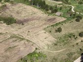 Išskirtinis 4,7 Ha Sklypas Klaipėdos Raj. - nuotraukos Nr. 12