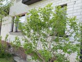 Šernuose parduodamas mūrinis dviejų aukštų 67 - nuotraukos Nr. 11