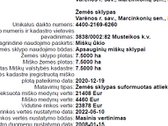 Parduodamas brandus miškas Musteikos kaime. - nuotraukos Nr. 6