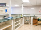 Išskirtinis Objektas Gamtos Apsuptyje – - nuotraukos Nr. 27