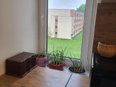 Parduodu tvarkingą 1 kamb. butą Aukštaičių g. - nuotraukos Nr. 12