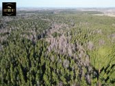 Jei svajojate apie nuosavą ūkį, sodybą - nuotraukos Nr. 3