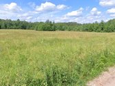 Parduodamas 1,55 ha žemės ūkio paskirties - nuotraukos Nr. 5