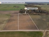 Parduodamas tvarkingas ir prižiūrėtas žemės