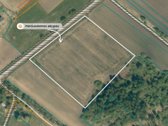 Parduodamas 2,4134 ha žemės ūkio paskirties - nuotraukos Nr. 5