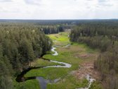 57 A Namų Valdos Sklypas Miško Apsuptyje – - nuotraukos Nr. 16