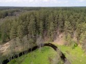 57 A Namų Valdos Sklypas Miško Apsuptyje – - nuotraukos Nr. 18