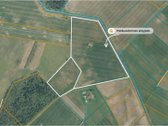 Parduodamas žemės ūkio paskirties sklypas - nuotraukos Nr. 6