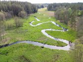 57 A Namų Valdos Sklypas Miško Apsuptyje – - nuotraukos Nr. 17