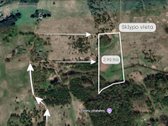 Parduodamas 2,90 ha žemės ūkio paskirties - nuotraukos Nr. 9
