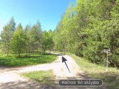 Parduodamas 2,90 ha žemės ūkio paskirties - nuotraukos Nr. 7
