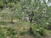 Parduodamas 64 kv. m medinis gyvenamasis - nuotraukos Nr. 4