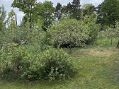 Parduodamas 64 kv. m medinis gyvenamasis - nuotraukos Nr. 15