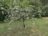 Parduodamas 64 kv. m medinis gyvenamasis - nuotraukos Nr. 16