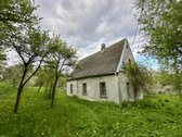 Parduodamas apleistas namas su dideliu žemės