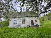 Parduodamas apleistas namas su dideliu žemės - nuotraukos Nr. 3