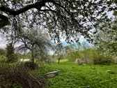 Parduodamas apleistas namas su dideliu žemės - nuotraukos Nr. 4