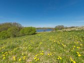Prienų raj. Pečiauskų kaime parduodama - nuotraukos Nr. 15
