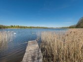 Prienų raj. Pečiauskų kaime parduodama - nuotraukos Nr. 17