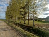 Parduodama remontuotina sodyba Ignalinos r., - nuotraukos Nr. 13