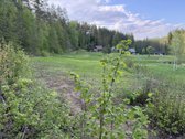 Sklypas unikaliame slėnyje miške(pašaliniams - nuotraukos Nr. 3