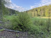 Sklypas unikaliame slėnyje miške(pašaliniams - nuotraukos Nr. 6
