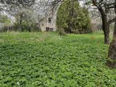 Parduodamas sodo sklypas šalia Nemuno ir - nuotraukos Nr. 6