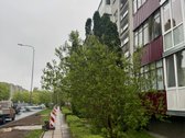 Puikus Pasiūlymas Investicijai! Parduodamas - nuotraukos Nr. 10