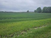 Parduodamas žemės ūkio paskirties sklypas - nuotraukos Nr. 3