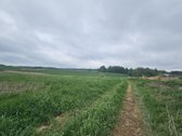 Parduodamas žemės ūkio paskirties sklypas - nuotraukos Nr. 5