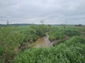 Parduodamas žemės ūkio paskirties sklypas - nuotraukos Nr. 4