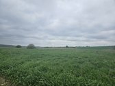 Parduodamas žemės ūkio paskirties sklypas - nuotraukos Nr. 6