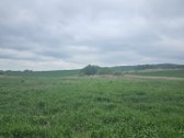 Parduodamas žemės ūkio paskirties sklypas - nuotraukos Nr. 7