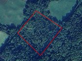 Jaunas 18 metų eglynas su 0,3 ha brandaus