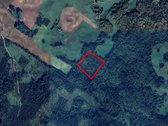 Jaunas 18 metų eglynas su 0,3 ha brandaus - nuotraukos Nr. 2