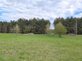 Parduodamas 70 arų namų valdos sklypas su - nuotraukos Nr. 12