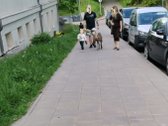 2-ų kambarių butas. Privatus nuosavas butas - nuotraukos Nr. 43
