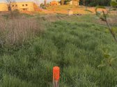 Jei pavargote nuo miesto triuksmo ir ieskote - nuotraukos Nr. 4