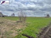 Parduodamas puikus sodybos kompleksas - nuotraukos Nr. 16