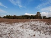 Parduodami 4 Sklypai 9 Km Nuo Trakų, Netoli - nuotraukos Nr. 8