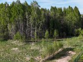 Parduodami du namų valdos sklypai, Kijėliuose. - nuotraukos Nr. 7