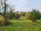 Parduodami 3 Namų Valdos Sklypai: Vilniaus r. - nuotraukos Nr. 15