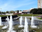 Tarpininkų ir brokerių paslaugos nedomina. - nuotraukos Nr. 19