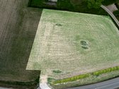 Parduodami 2 žemės ūkio paskirties sklypai - nuotraukos Nr. 3