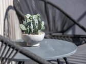 Parduodamas išskirtinis 3 kambarių - nuotraukos Nr. 10